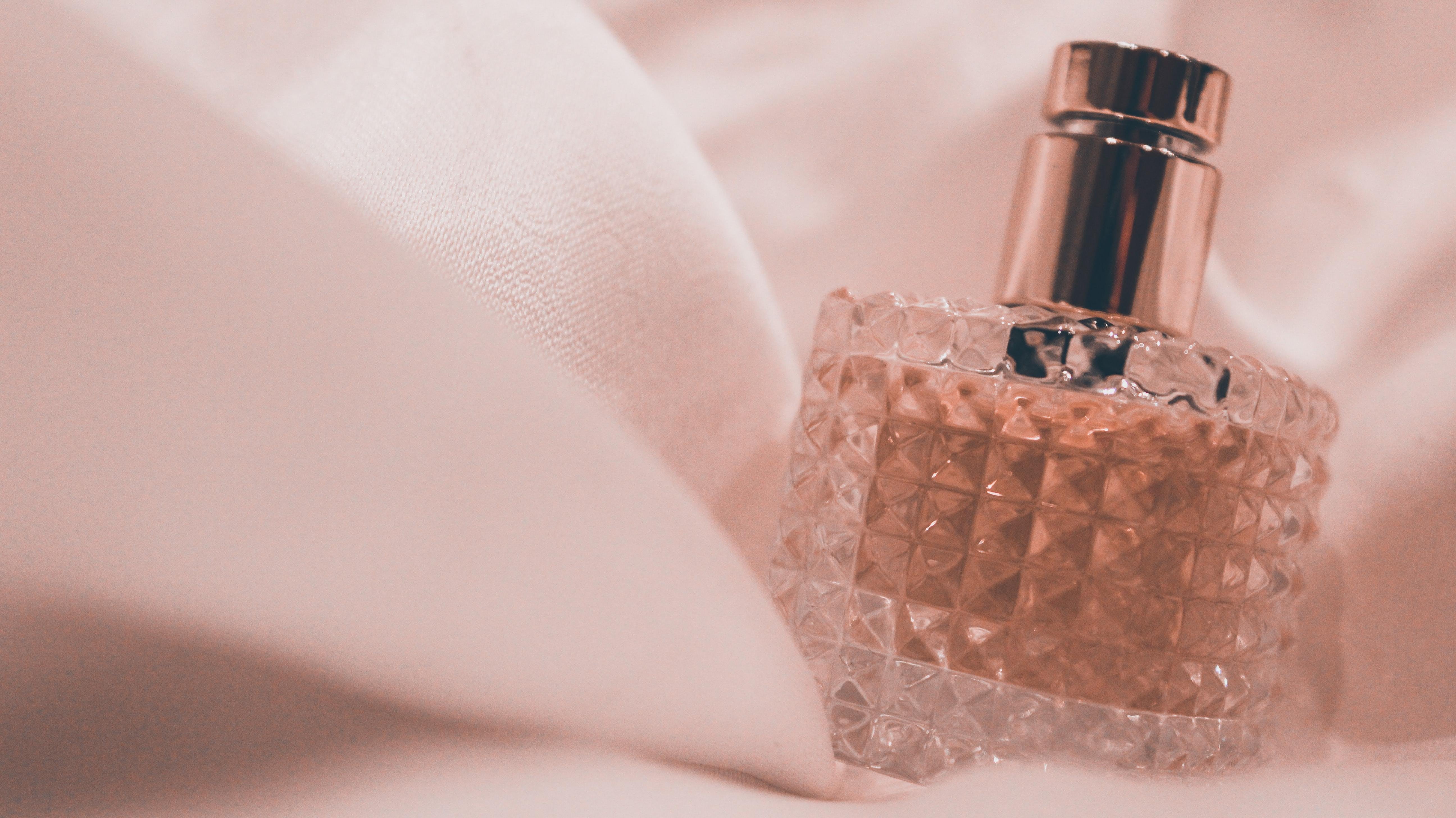 The Olfactory Pyramid
