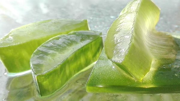 The benefits of aloe vera, one of nature’s miracles!