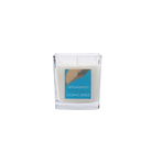 Ocean Breeze candle